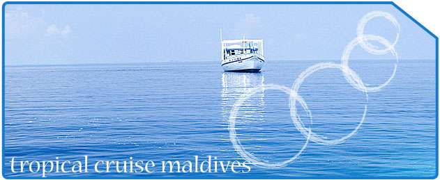 Tropic X Maldives Pvt Ltd - Tropical Cruise Maldives