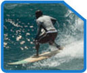 Surf Maldives